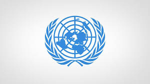 الأمم المتحدة سلاح ذو حدين
